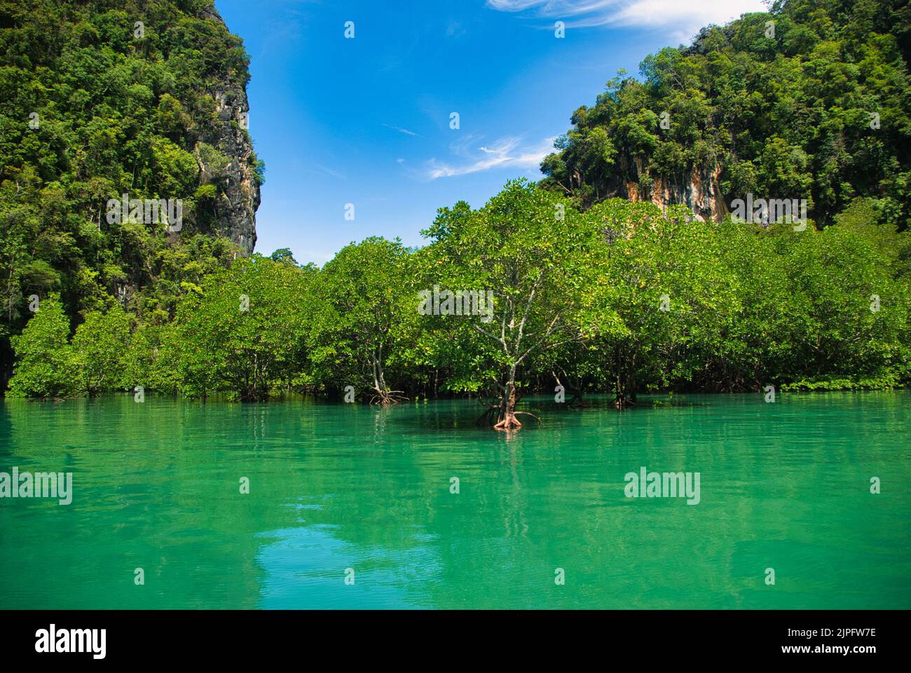 Tropische Mangroven im smaragdgrünen Wasser in der Bucht von Hong Island im Hintergrund Kalksteinfelsen mit Dschungel überwuchert, Thailand, Krabi Stockfoto