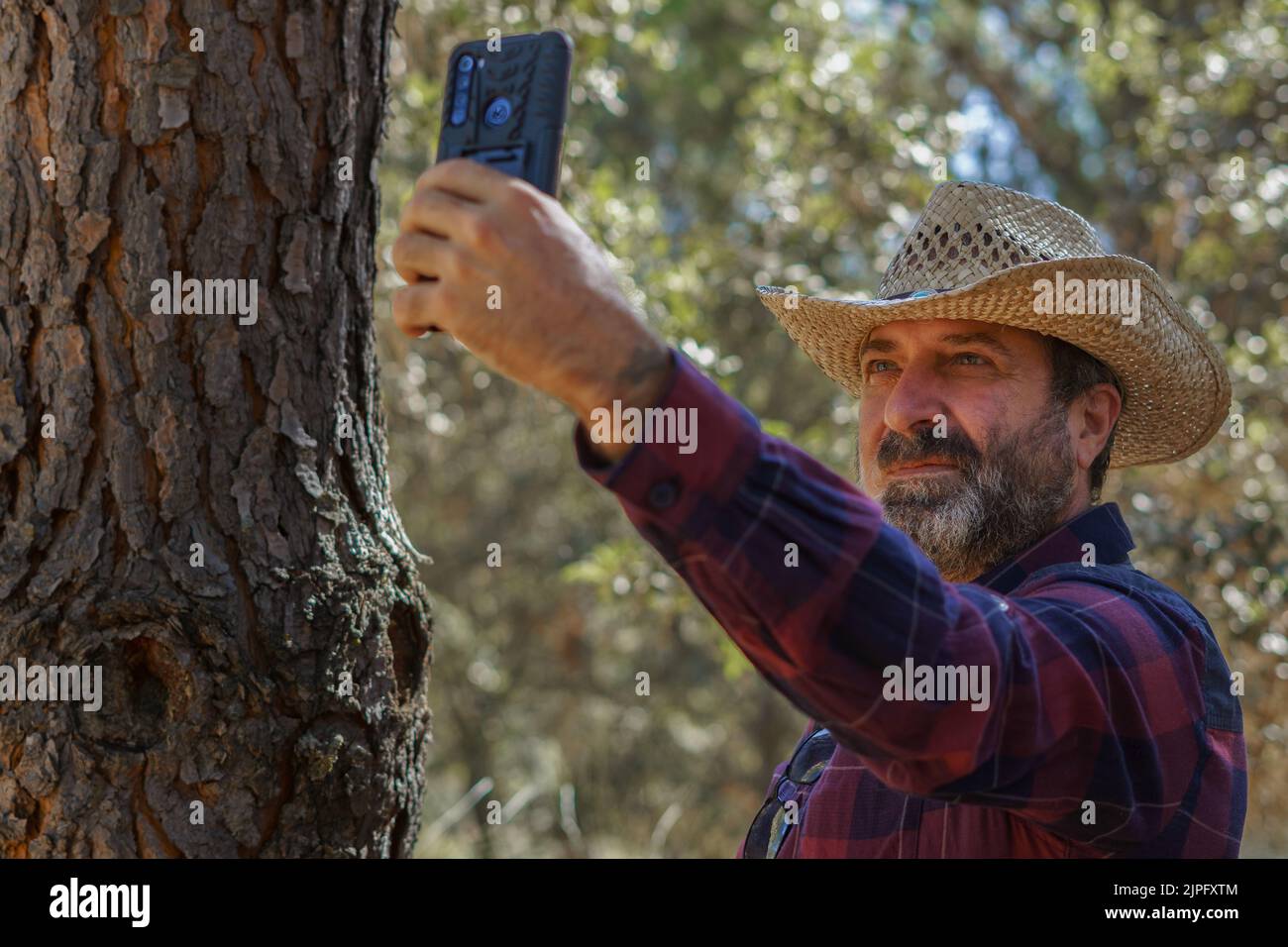 Nahaufnahme eines bärtigen Mannes mit Hut und Bart, der sein Handy im Wald benutzt, um Deckung zu finden Stockfoto