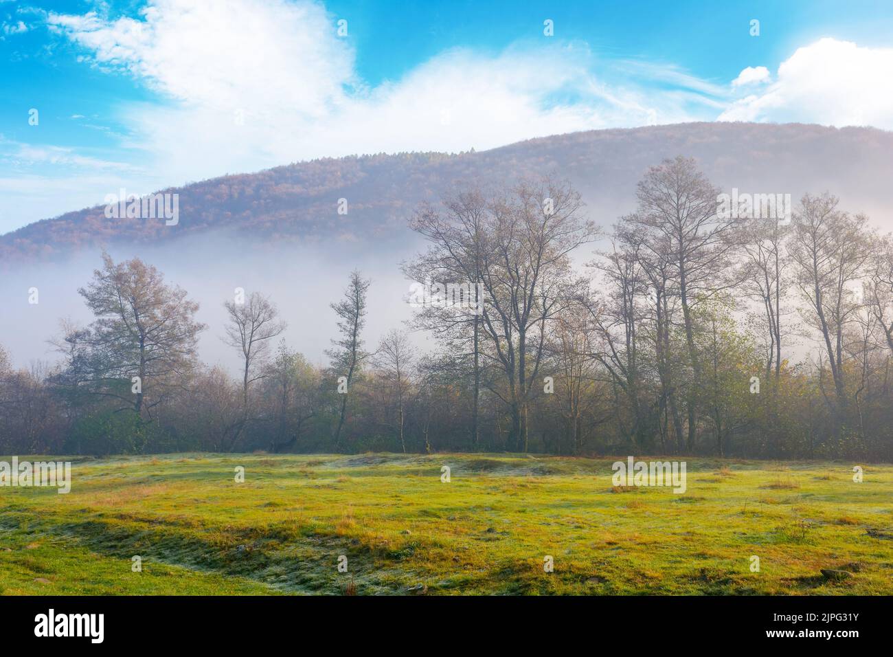 Bergige Landschaft an einem nebligen Morgen. Schöne Herbstlandschaft bei Sonnenaufgang. Reihe von Laubbäumen hinter der Wiese im Nebel. majes Stockfoto