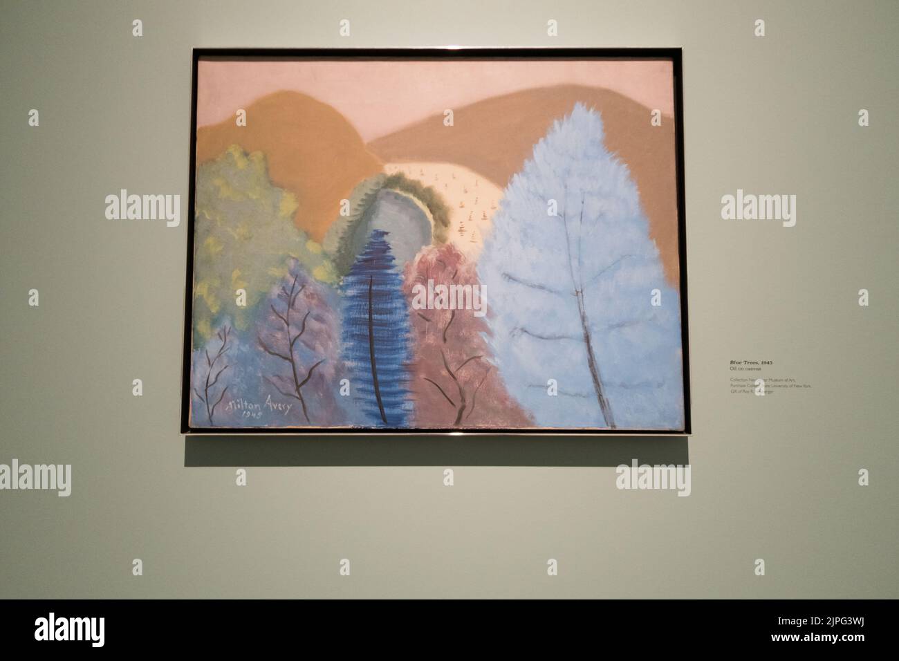 Ein Blick auf das Gemälde Blue Trees des amerikanischen Coloristen Milton Avery Stockfoto