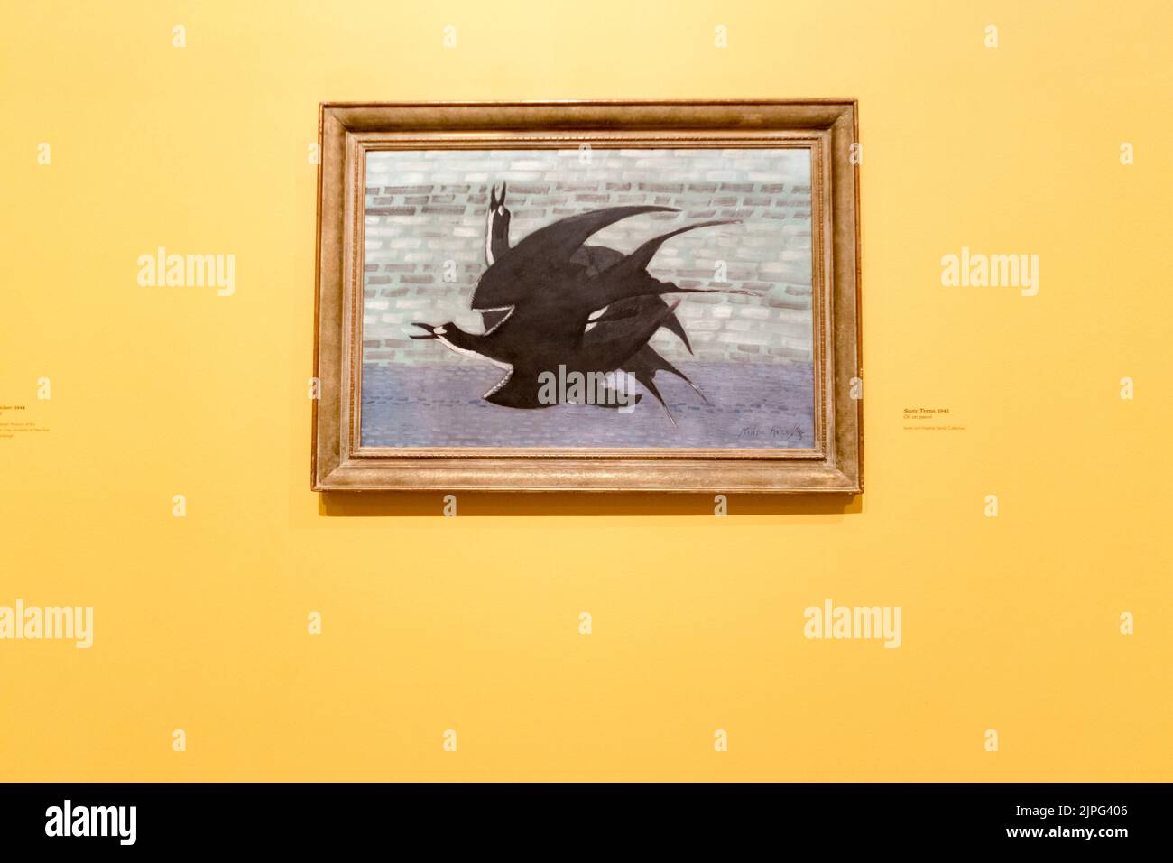 Ein Blick auf das Gemälde Sooty Terns, von dem amerikanischen Coloristen Milton Avery Stockfoto