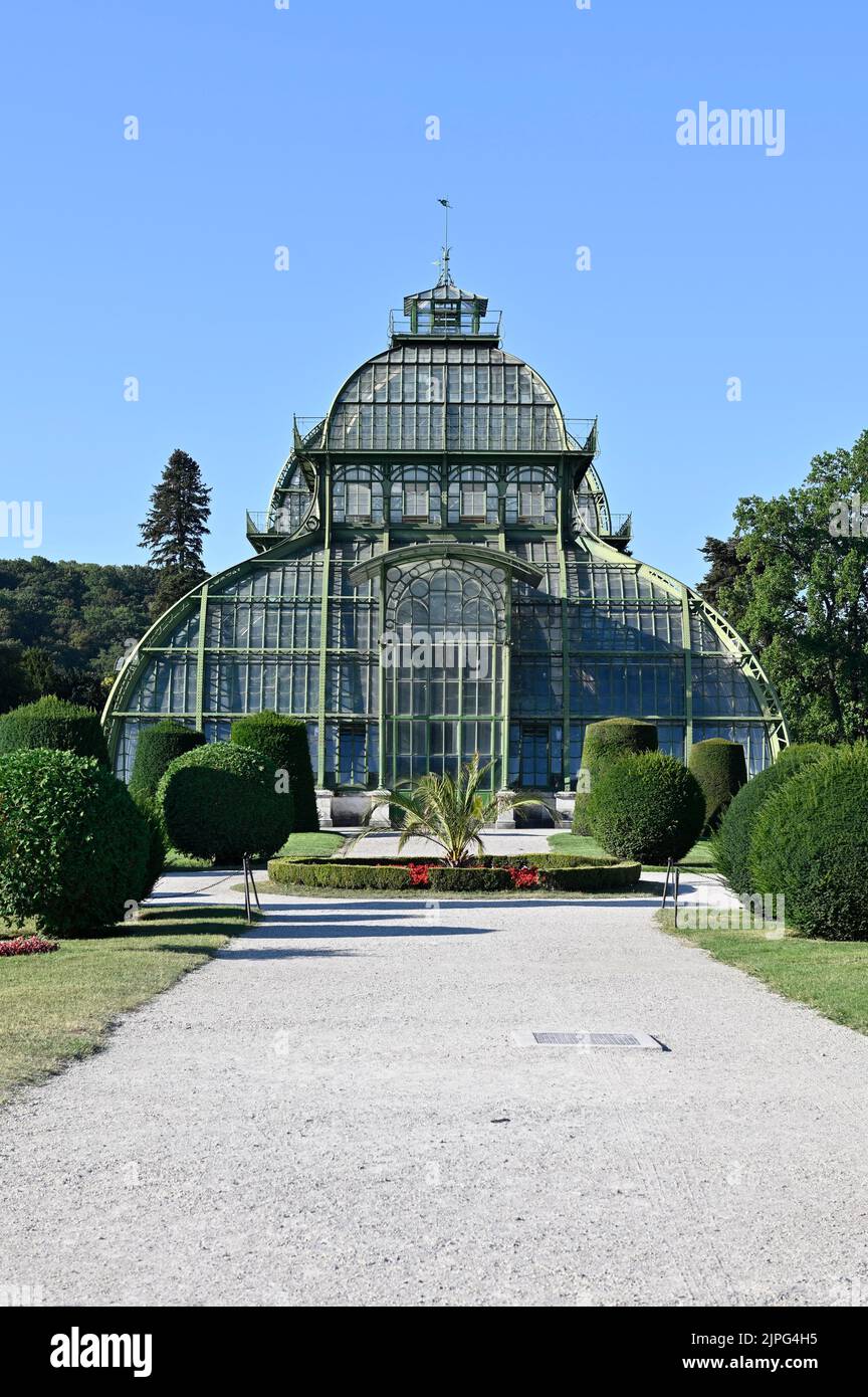 Wien, Österreich. Das Palmenhaus im Schlosspark Schönbrunn Stockfoto