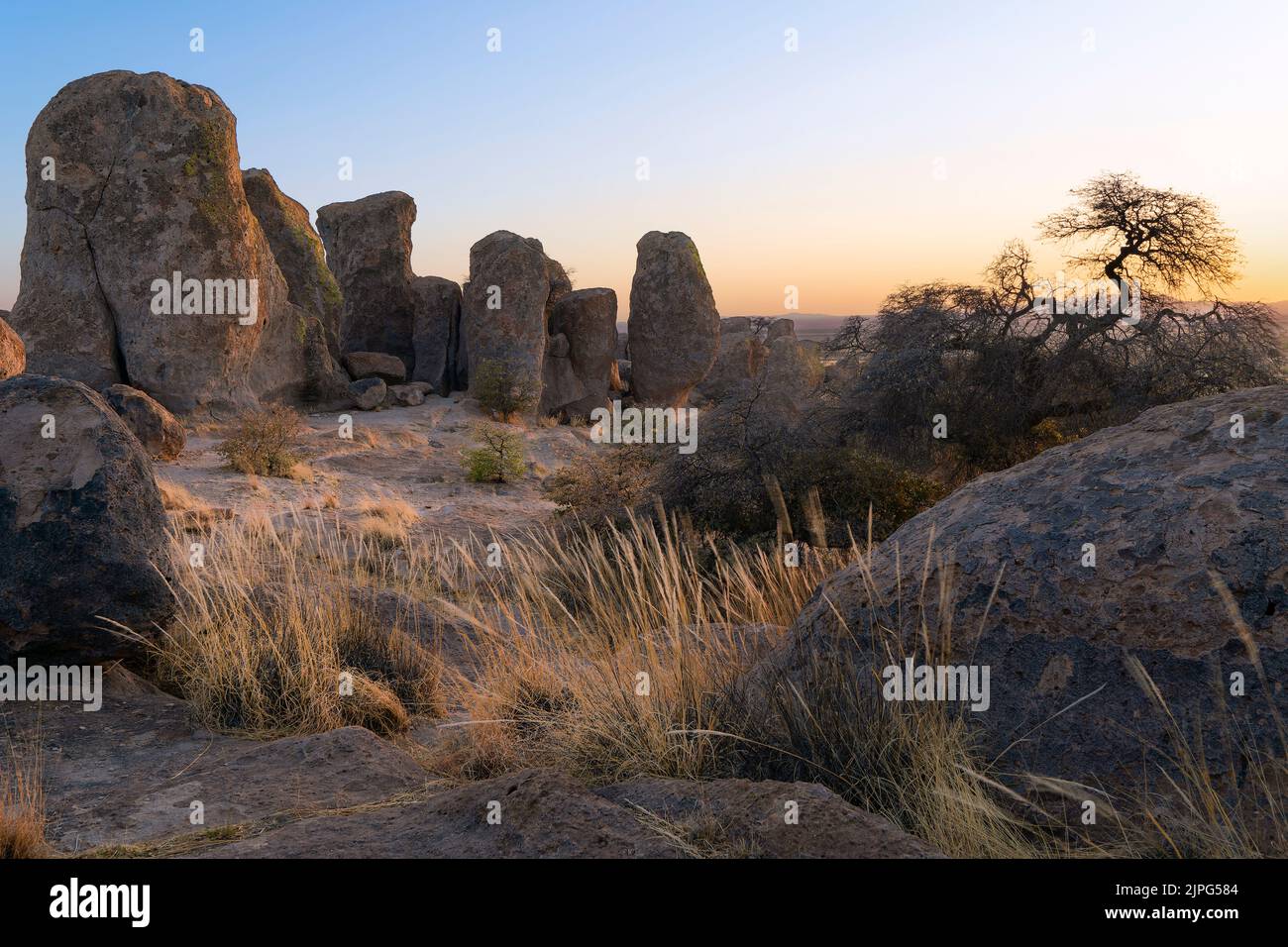 City of Rocks State Park bei Sonnenuntergang, New Mexico, USA Stockfoto