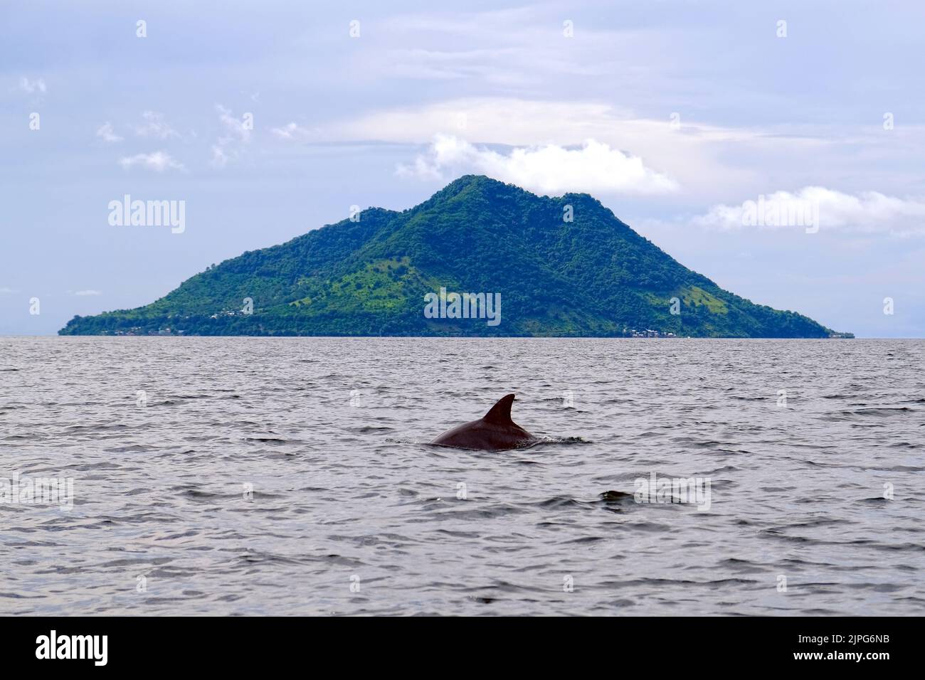Indonesia Alor Island - Meereslandschaft mit Delfinflosse und vulkanischem Berg Stockfoto