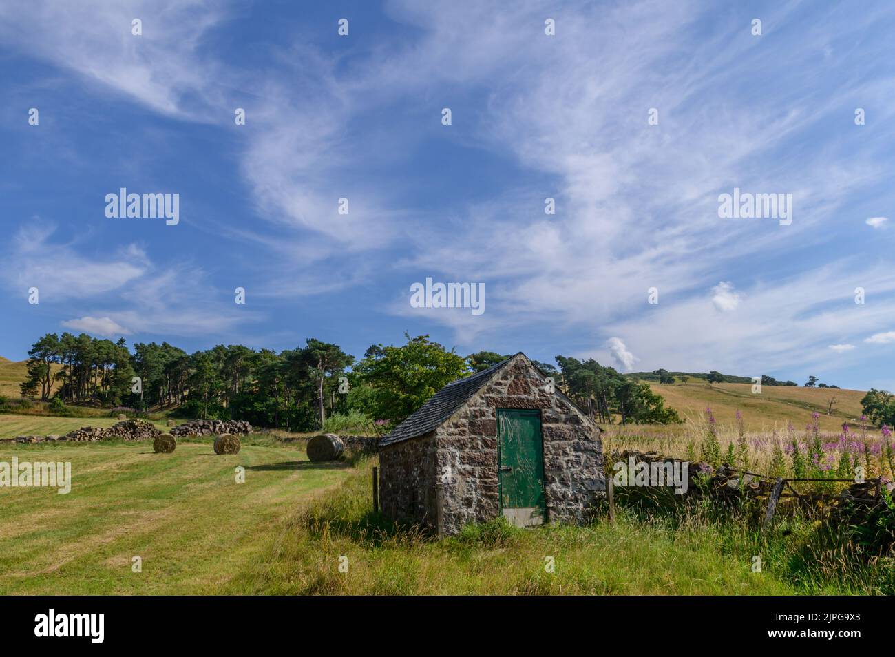 Grenzlandschaft an den Halmyre Mains bei West Linton in den Scottish Borders Stockfoto