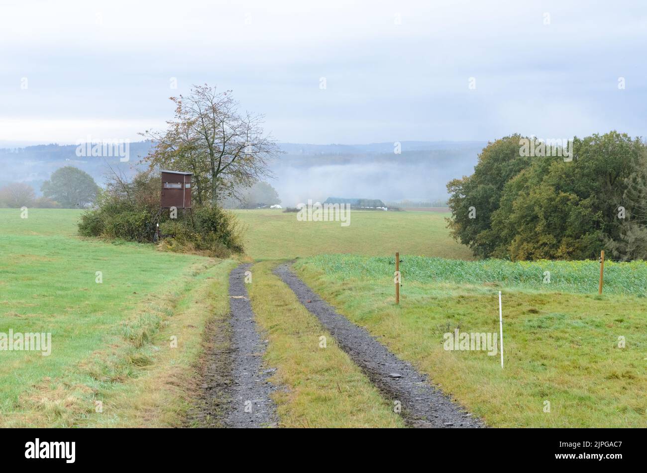 Landstraße und Wanderweg in der ländlichen Landschaft im Westerwald in Rheinland-Pfalz, Deutschland Stockfoto