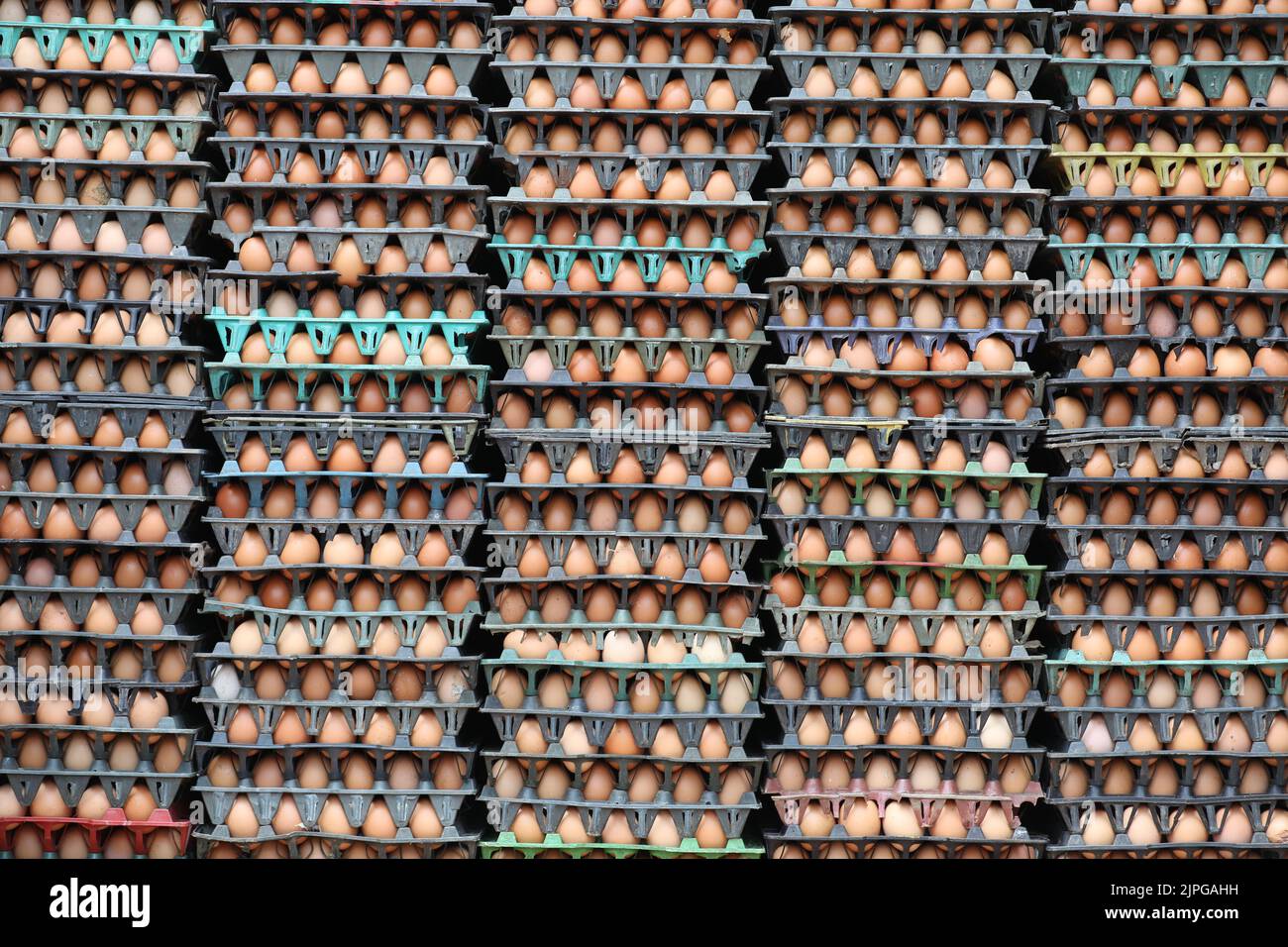 Die Eier werden zum Verkauf arrangiert Stockfoto