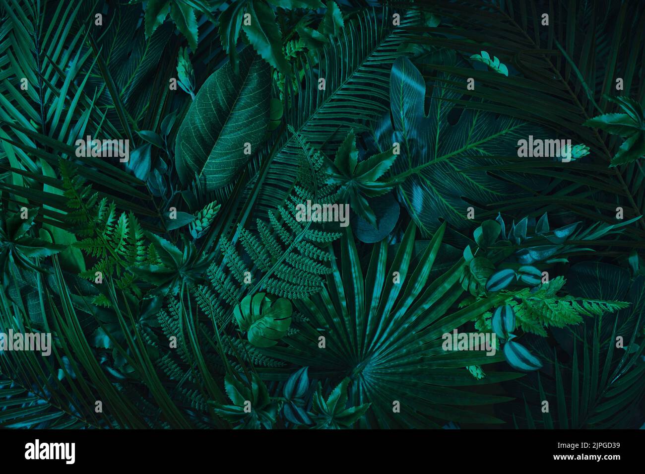 Nahaufnahme der Natur mit grünen Blättern und Palmen. Sommer Hintergrund abstrakte Kunst mit grünen tropischen Blättern.Minimal Konzept. Stockfoto