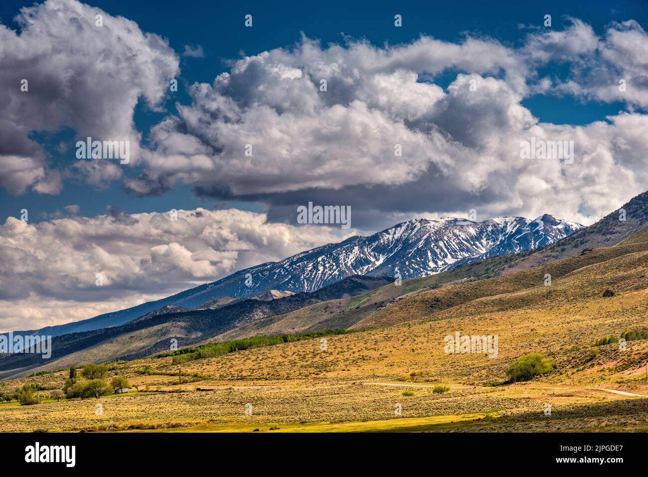 Pearl Peak in den Ruby Mountains über dem Ruby Valley, Frühling, Blick von der Hastings Cutoff Road, Nevada, USA Stockfoto