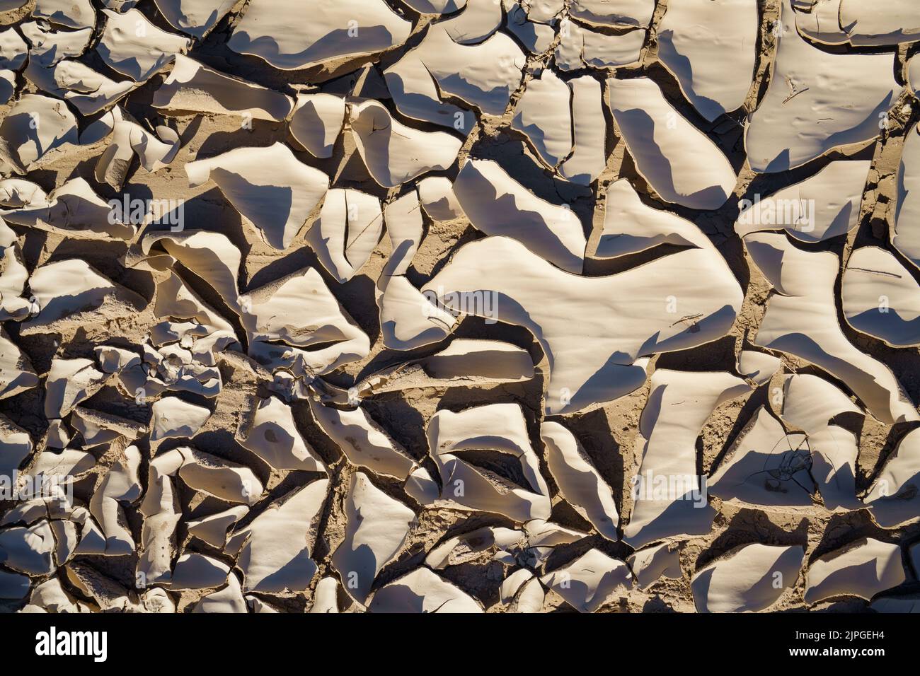 Abstrakte trockene Tonmuster in einem trockenen Flussbett. Swakop River, Namibia, Afrika Stockfoto