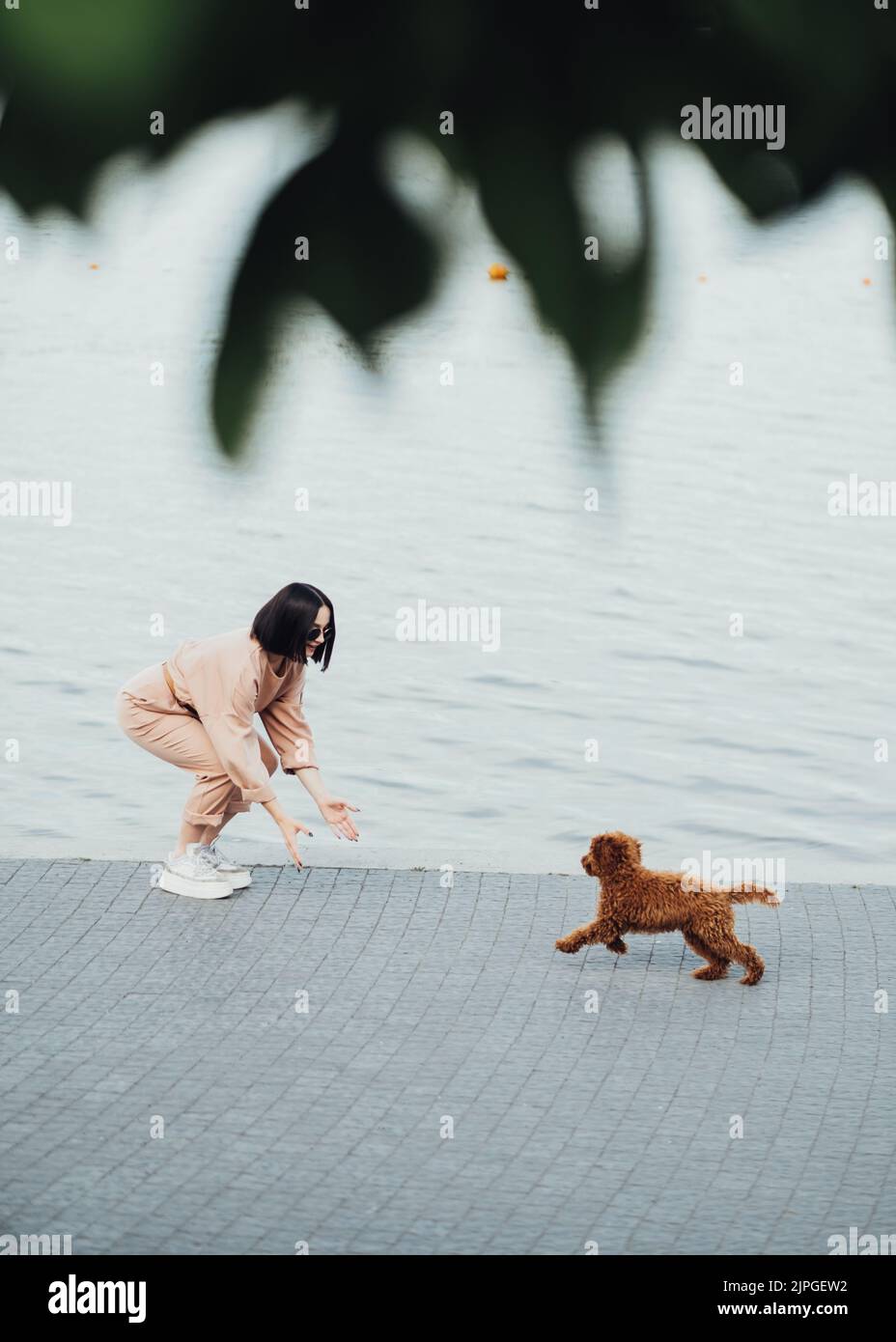 Rotschopf Hund Rasse Spielzeug Pudel Wandern mit Frau im Freien, weibliche Besitzerin von kleinen vier Pfoten Haustier Stockfoto