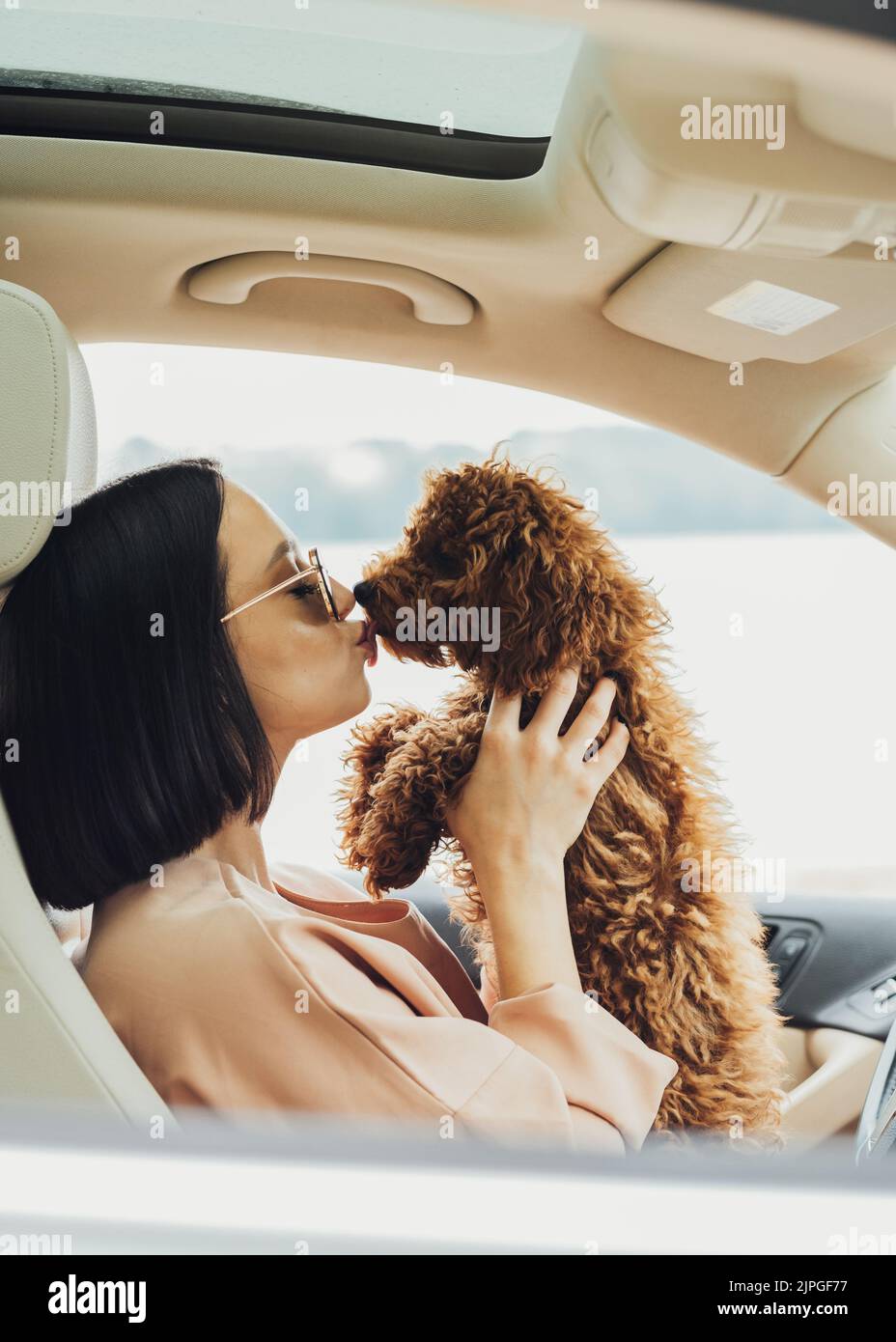 Junge Brünette Frau ist eine glückliche Besitzerin von Rothaarigen Hundespielzeug Pudel, sitzt im Auto und küsst ihre vier Pfoten Haustier Stockfoto