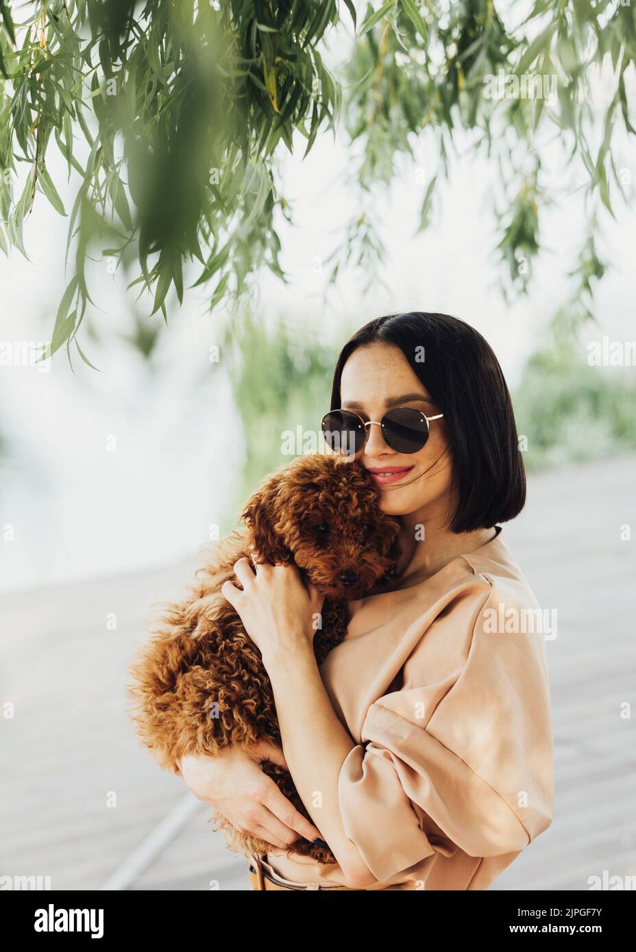 Junge Brünette Frau hält sich an den Händen und umarmt ihren kleinen rothaarigen Hund Rasse Spielzeug Pudel Stockfoto