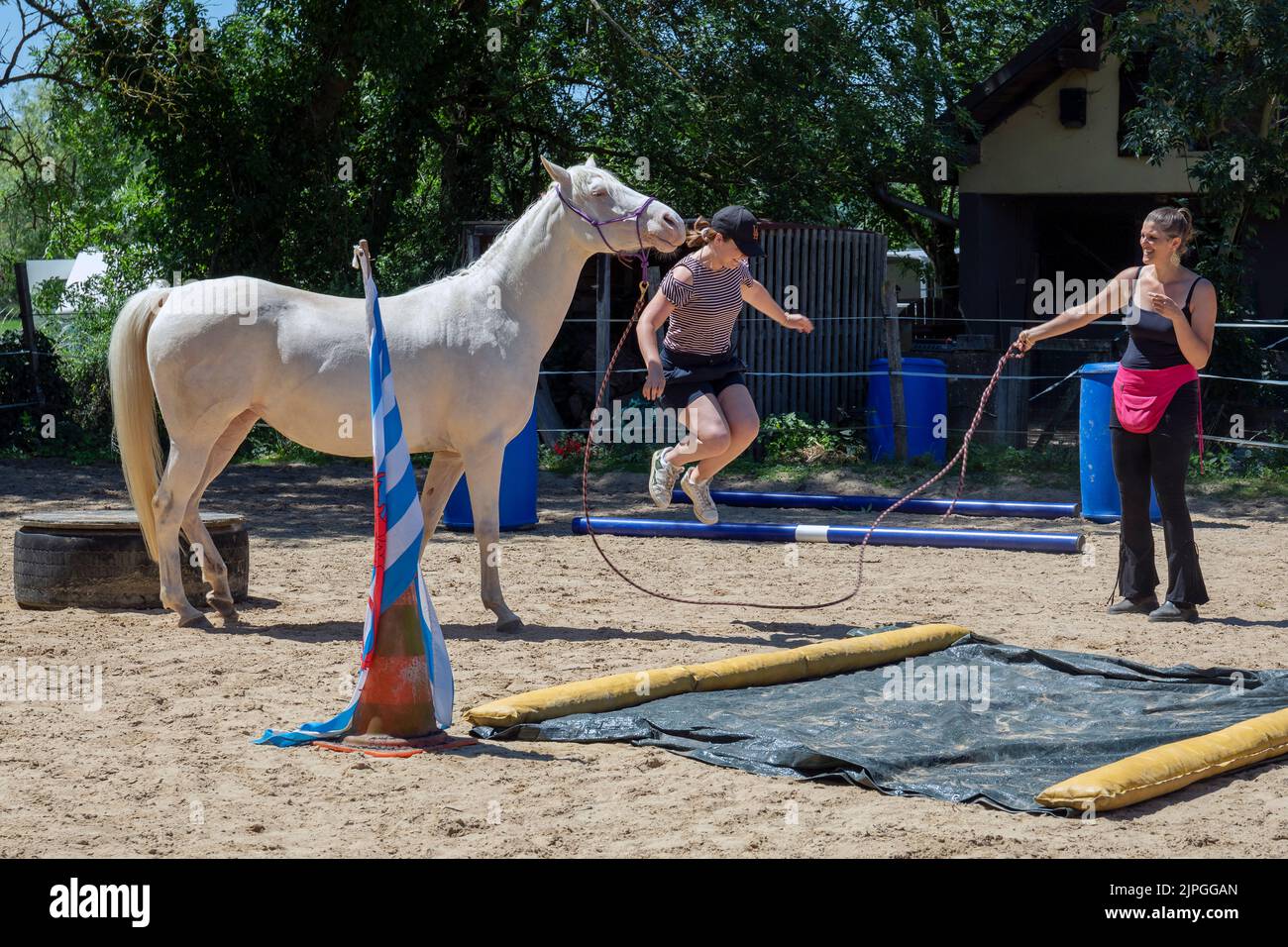 Vorführung des Reitpferdes mit Pferd, das Springseil hält, beim Reitschießwettbewerb in Limpach, Luxemburg am 2.. Juli 2022 Stockfoto
