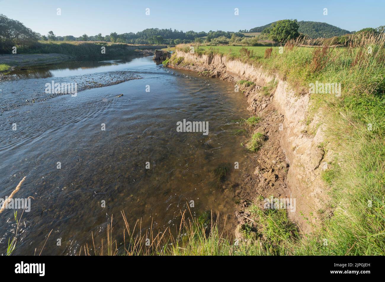 Erodierende Flussufer auf dem Fluss Twoy, Carmarthenshire, Wales, Großbritannien Stockfoto