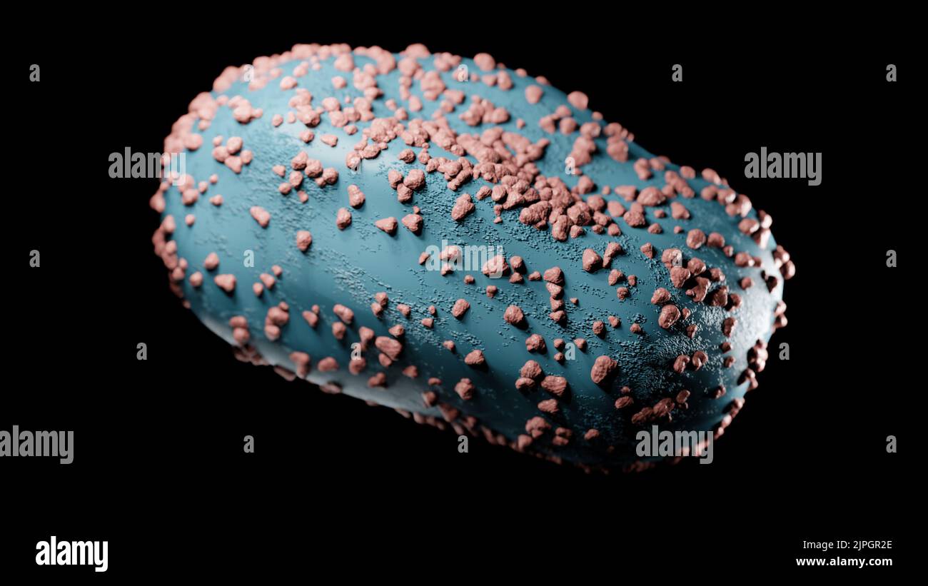 Illustration einer Monkeypox-Viruszelle, Vizualisierung einer Infektion Stockfoto