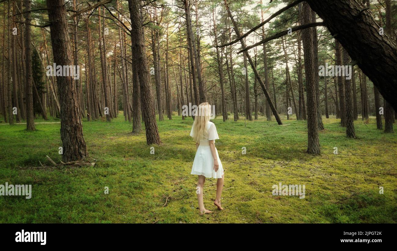 Junge blonde Frau in weißem Kleid, die barfuß durch einen üppigen Pinienwald auf moosigem Boden läuft Stockfoto