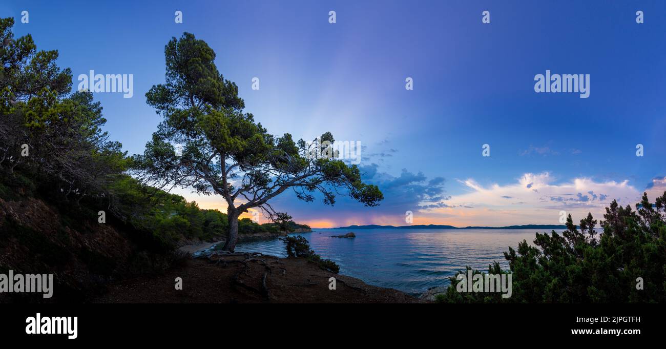 Sonnenaufgang an der französischen Riviera mit ihren Seekiefern, dem friedlichen Mittelmeer und den Wolken, die vom zarten Licht der aufgehenden Sonne erleuchtet werden Stockfoto