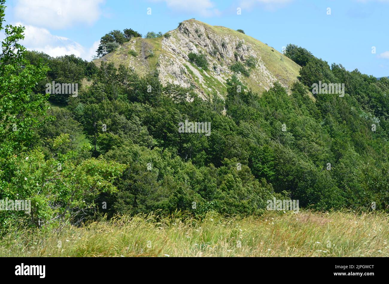 Parco Nazionale dell'Appennino Tosco-Emiliano, ein üppig bewaldeter und bergiger Nationalpark in Norditalien Stockfoto