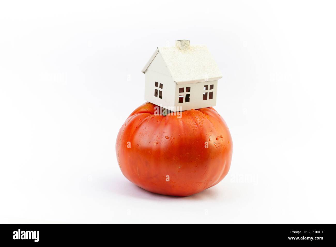 Miniatur-Modellhaus auf einer roten Tomate. Minimales Bio-Lebensmittelkonzept, isoliert auf weißem Hintergrund. Stockfoto