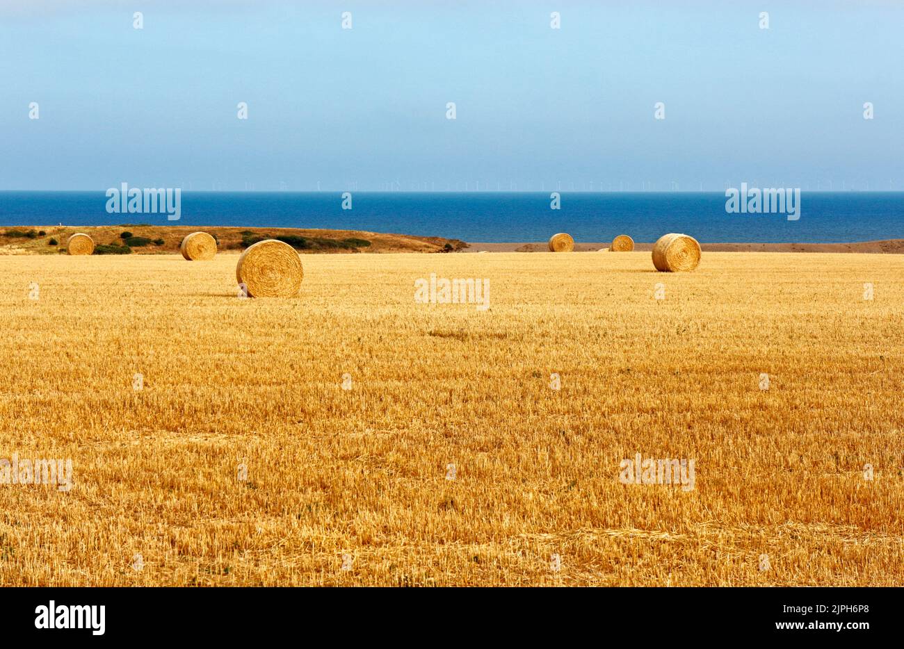 Ackerland mit runden Strohballen nach der Ernte im Sommer an der North Norfolk Küste in Salthouse, Norfolk, England, Vereinigtes Königreich. Stockfoto
