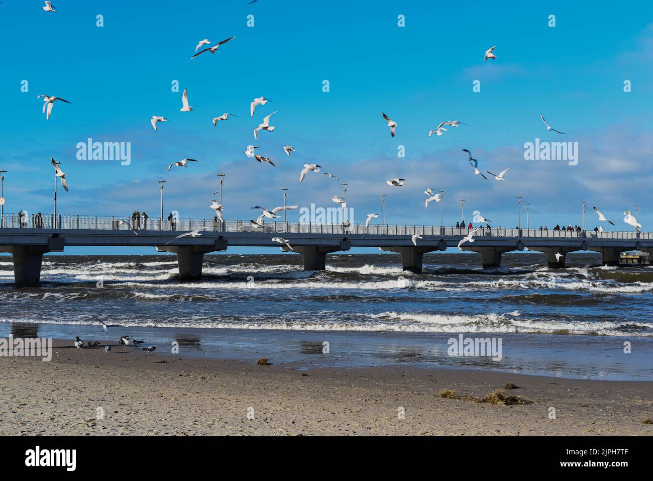 Eine wunderschöne Aufnahme einer Herde Möwen, die über einen Pier im Meer fliegen Stockfoto