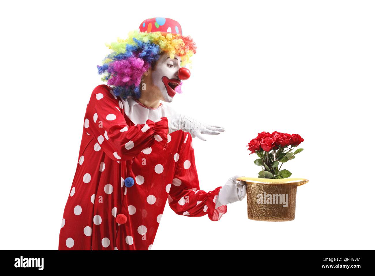 Clown, der einen Zaubertrick mit einem Hut und roten Rosen auf weißem Hintergrund isoliert Stockfoto