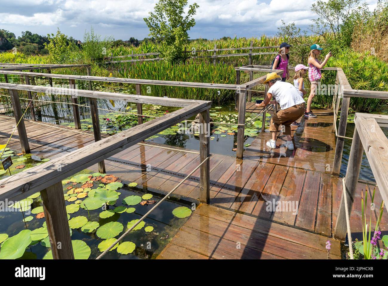 (C) Denis TRASFI / MAXPPP - à Carsac le 17-08-2022 - Les jardins d'Eau, le labyrinthe Stockfoto