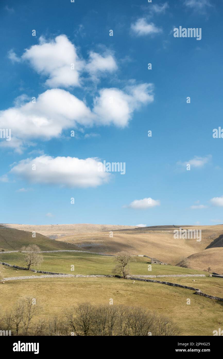 Vertikales Bild der Landschaft von Wharfedale vom Park Rash Hill Climb, Yorkshire Dales National Park, North Yorkshire, England, Großbritannien Stockfoto