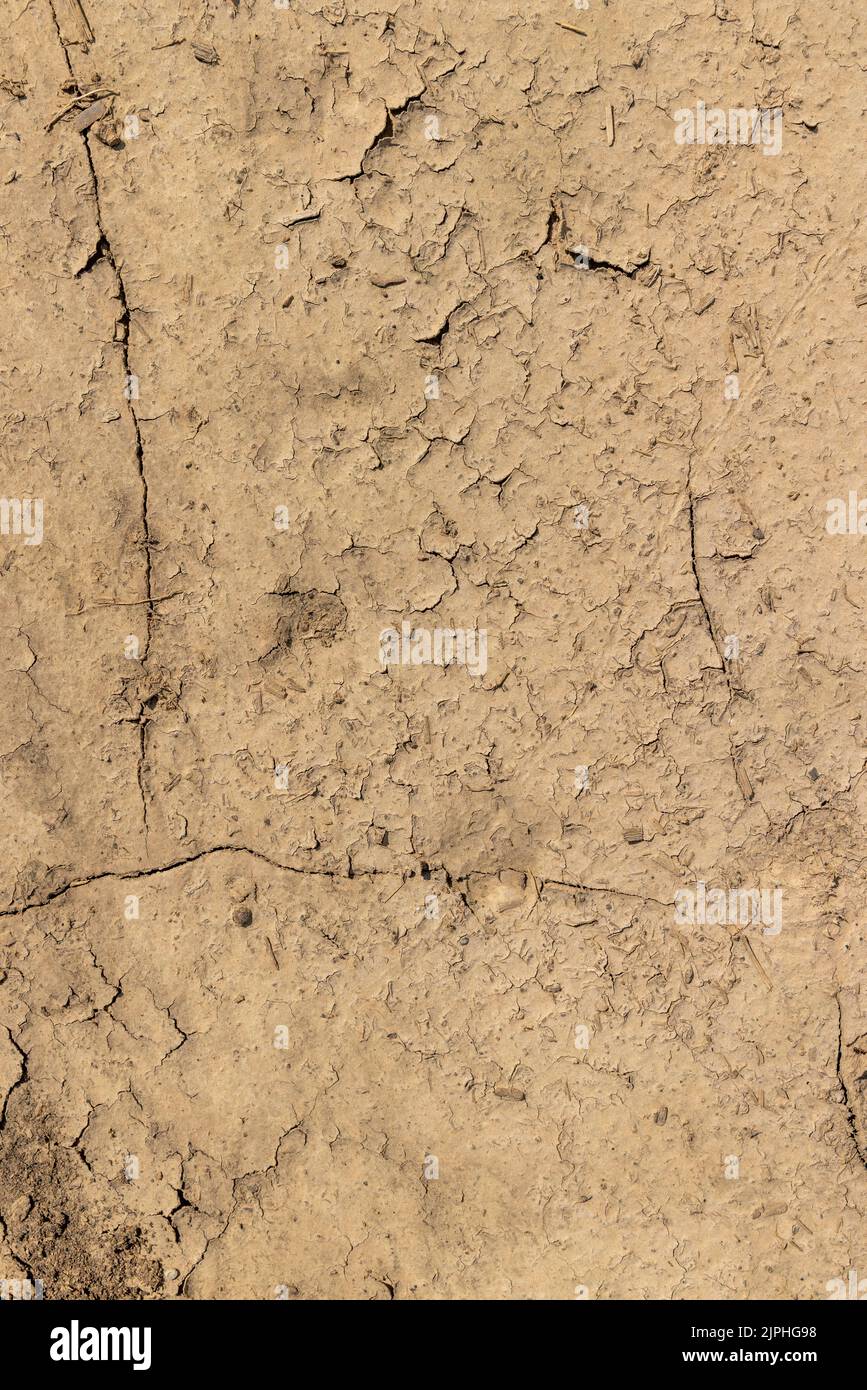Rissiger trockener Boden in einem landwirtschaftlichen Feld, Nahaufnahme eines Teils des Bodens ohne Feuchtigkeit Stockfoto