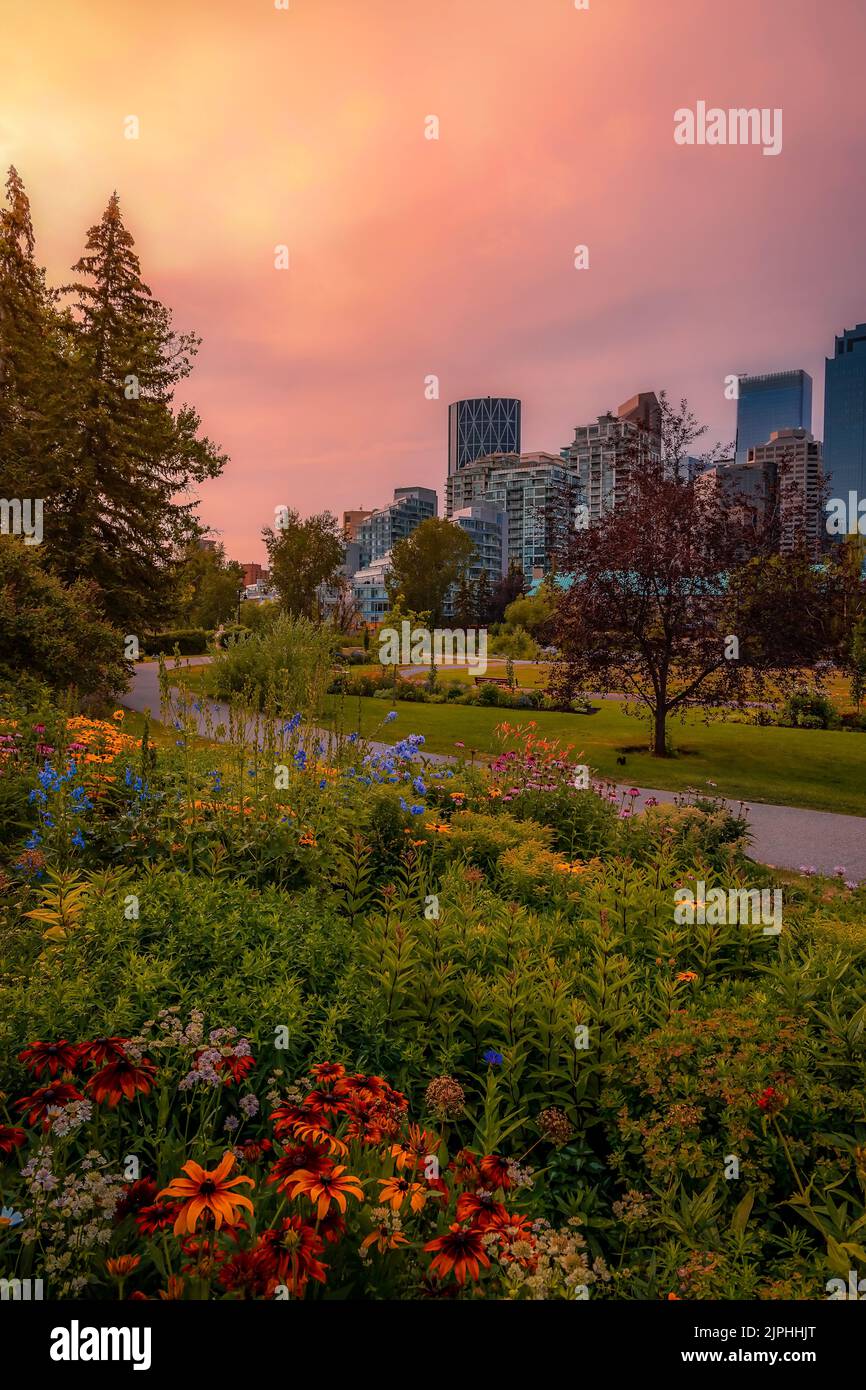 Sonnenaufgang über Einem Downtown Calgary Summer Park Stockfoto