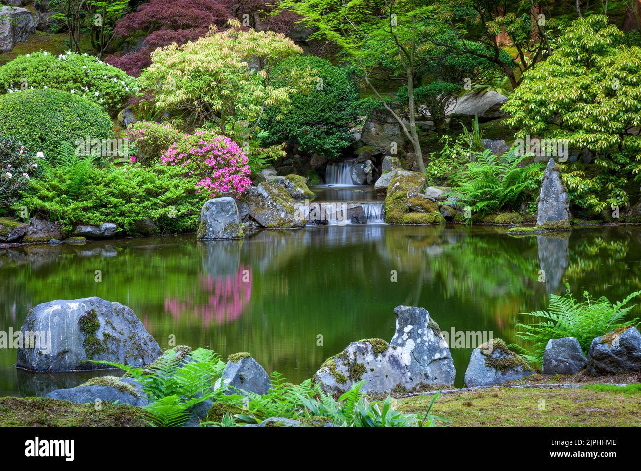 Teich und Wasserfall in Japanese Garden, Portland, Oregon, USA Stockfoto