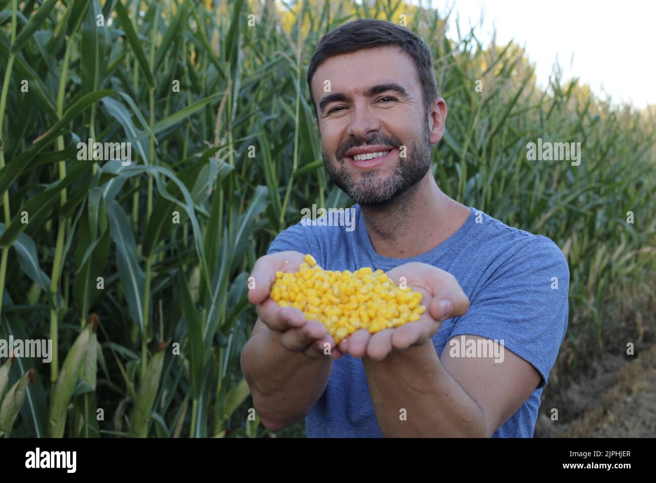 Landwirt in schönen Maisfeldern mit Bio-Produkten Stockfoto
