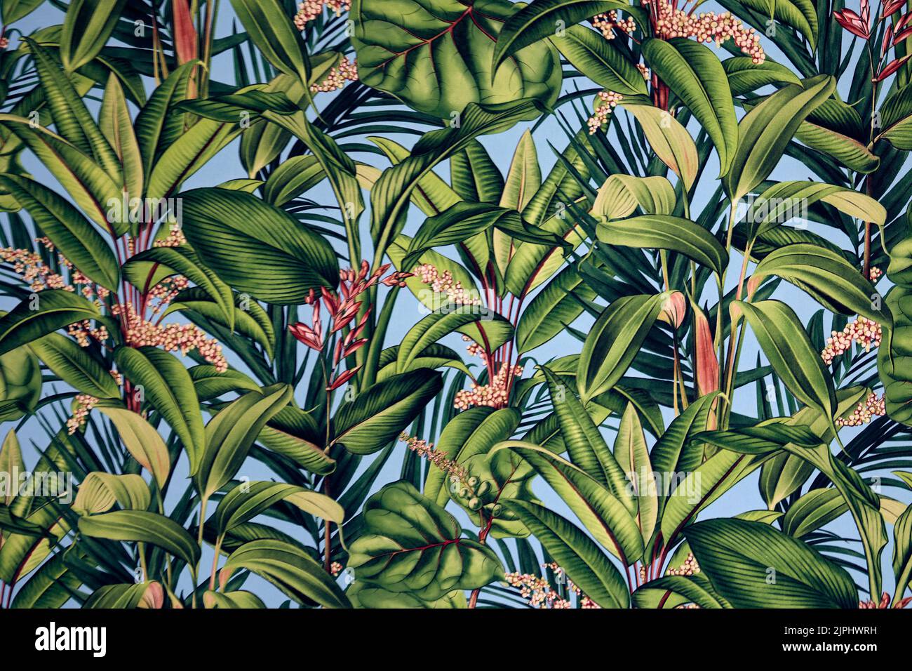 Textur Tapete Hintergrund mit tropischen Pflanzen, Beeren, grünen Blättern auf blauem Hintergrund. Stockfoto