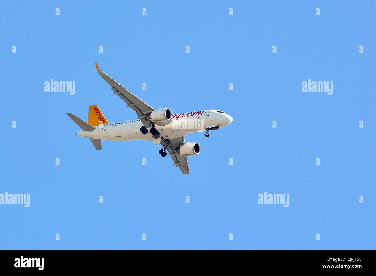 Pegasus Airlines (ist eine türkische Low-Cost-Fluggesellschaft), Airbus A320-251N, Budapest, Ungarn, Magyarország, Europa Stockfoto