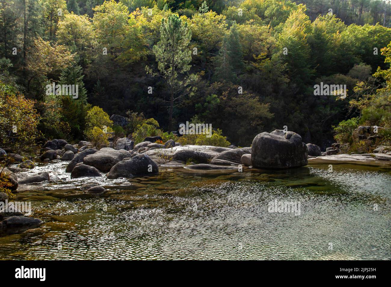 Herbstliche Landschaft am Fluss Homem durch den Wald Mata da Albergaria, Nationalpark Peneda Geres, Portugal Stockfoto