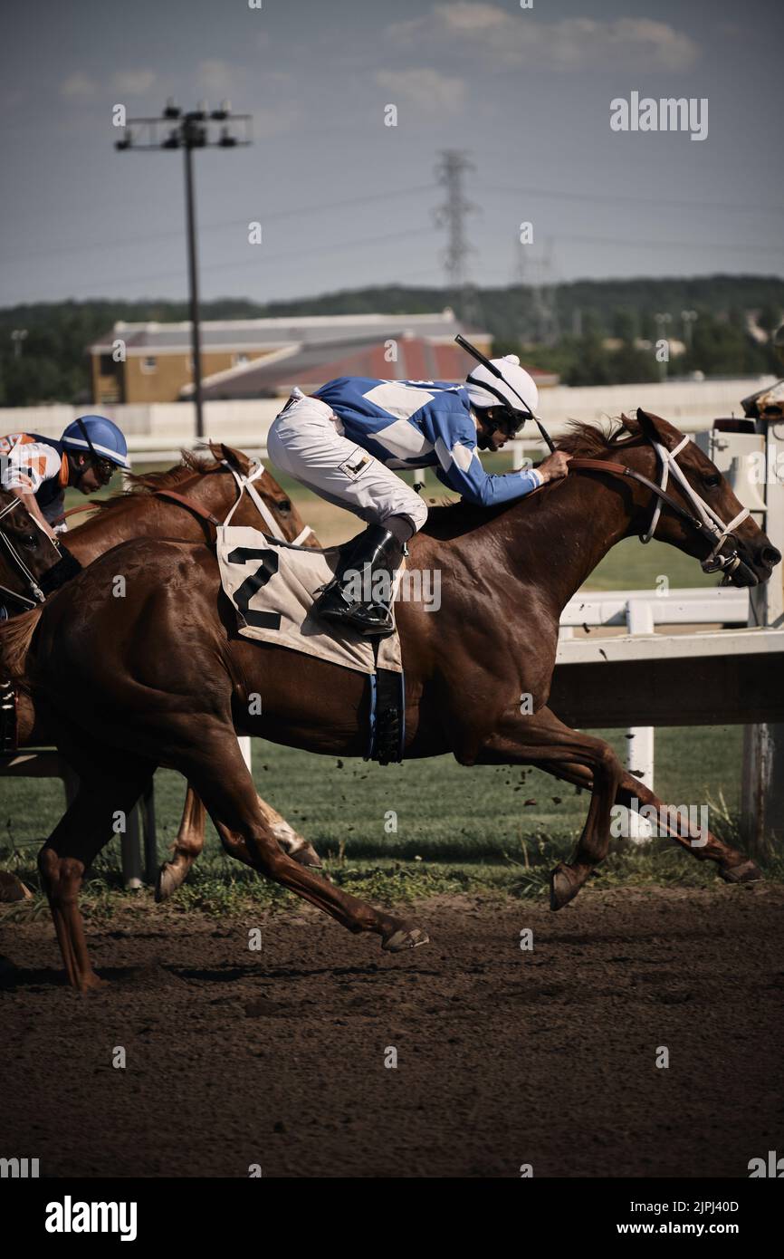 Ein Pferderennen-Wettbewerb im Canterbury Park in Shakopee, Minnesota, USA Stockfoto