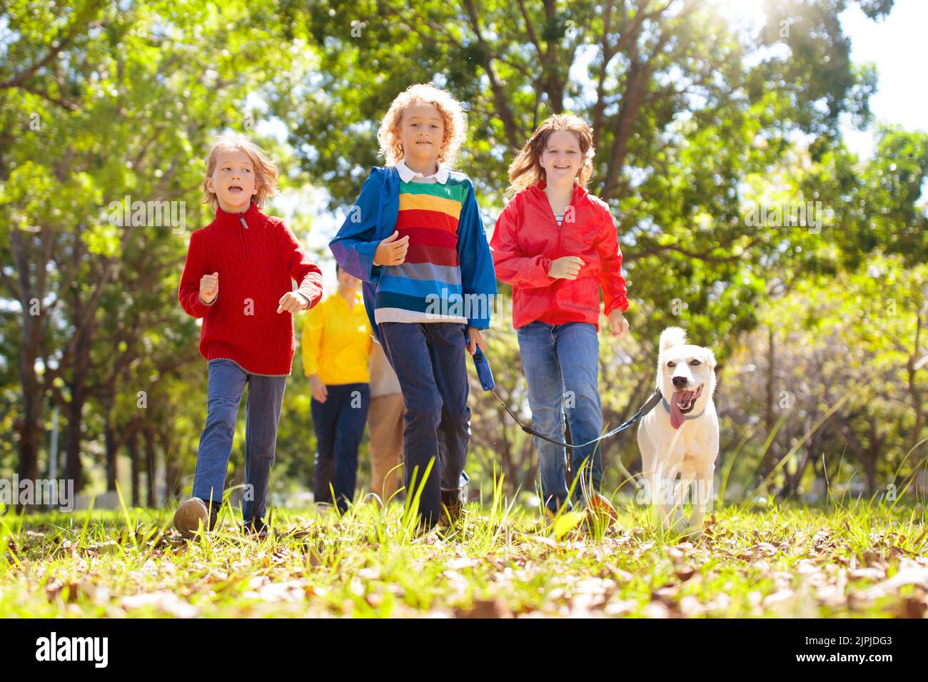 Familienspaziergängen im Herbstpark. Kinder spielen im sonnigen Wald. Spaß im Freien. Mutter