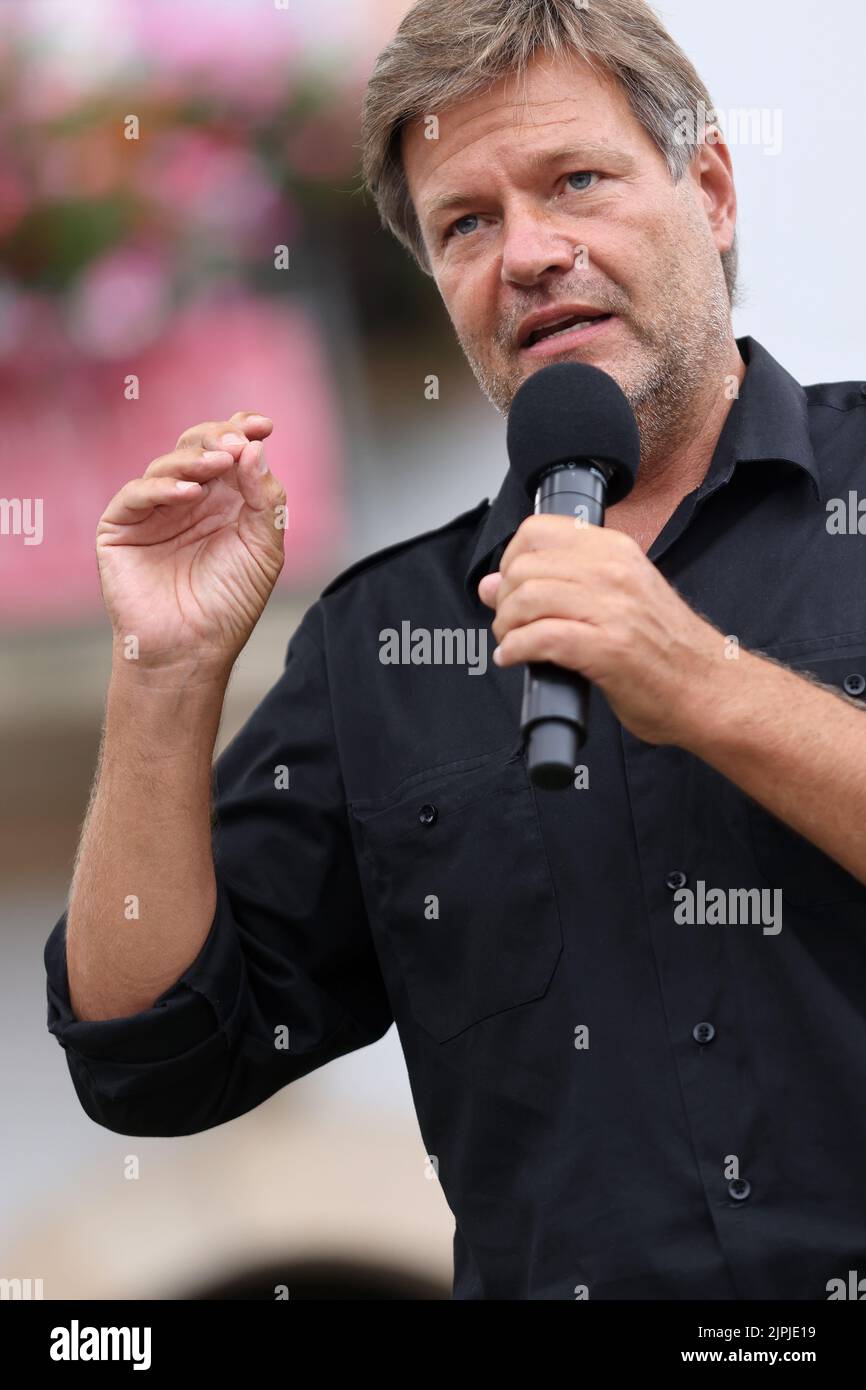 Mikrofon, Rede, Politiker, robert habeck, bündnis 90/die grünen, promi, Mikrofone, Reden, Politiker Stockfoto