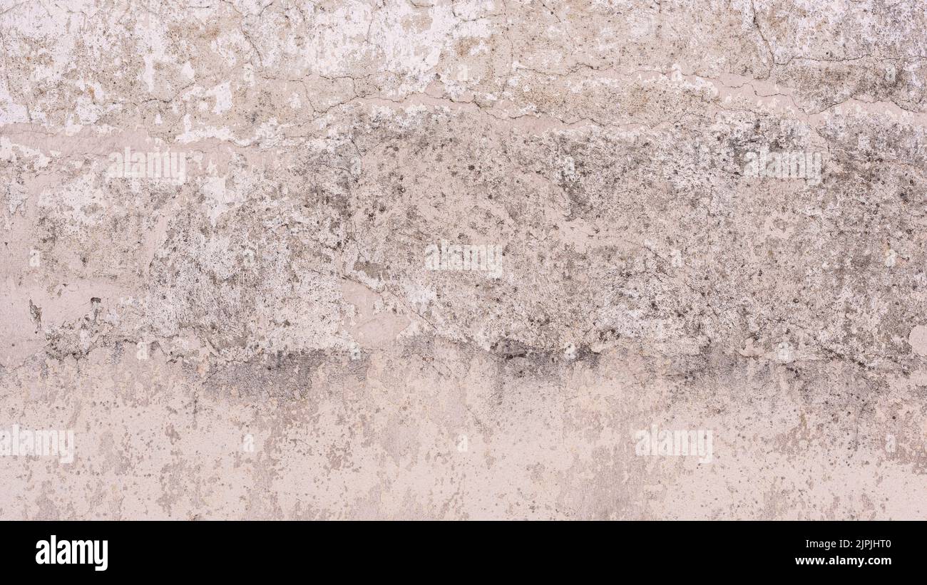 Verwittert, Wand, Beton, Weide, Wände, Beton Stockfoto