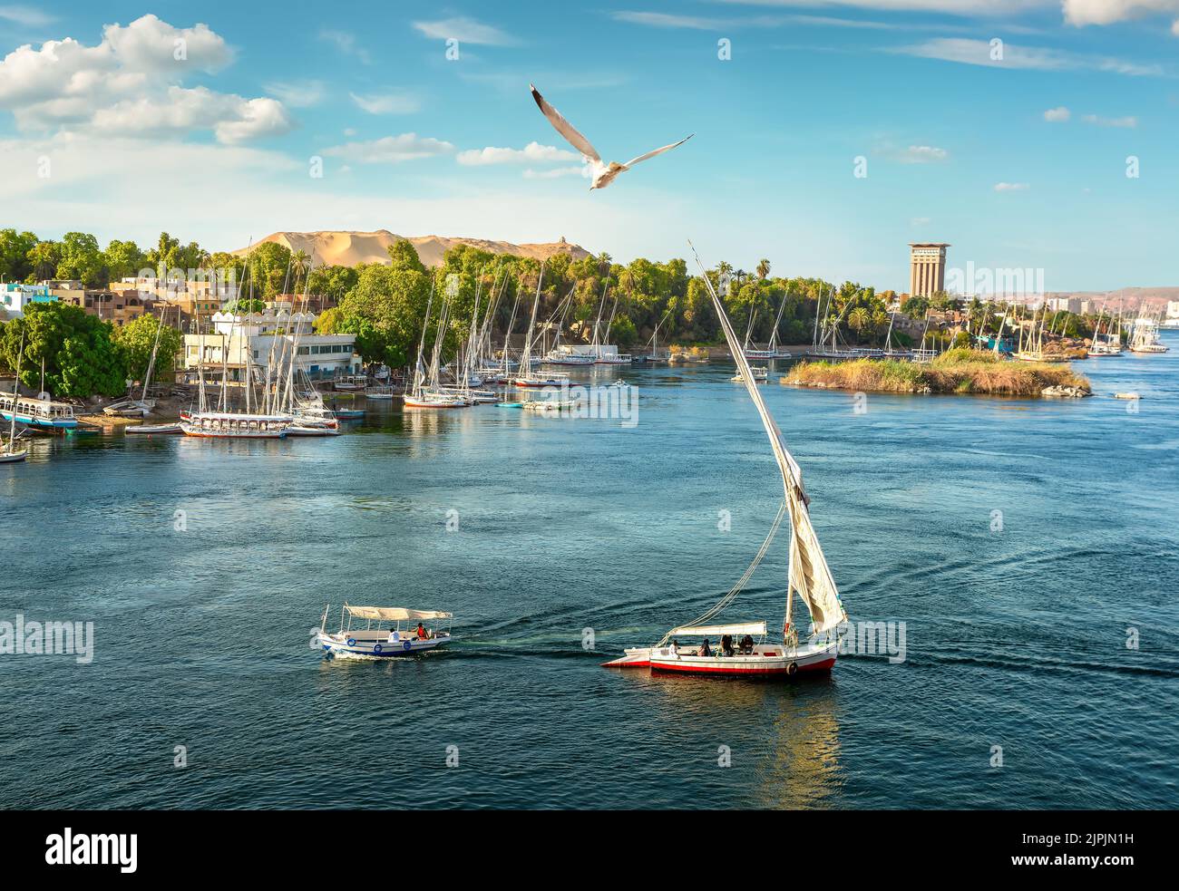 Segelboot, nil, assuan, Segelboote, Segeln, Segelboot, Segelboote, nil, nilflüsse, Aswans Stockfoto