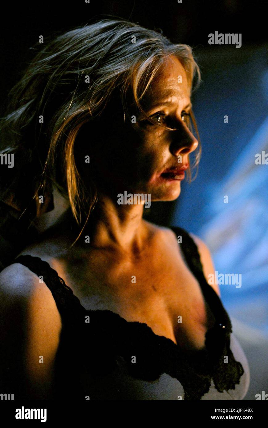 ROSANNA ARQUETTE, dividieren, 2011 Stockfoto