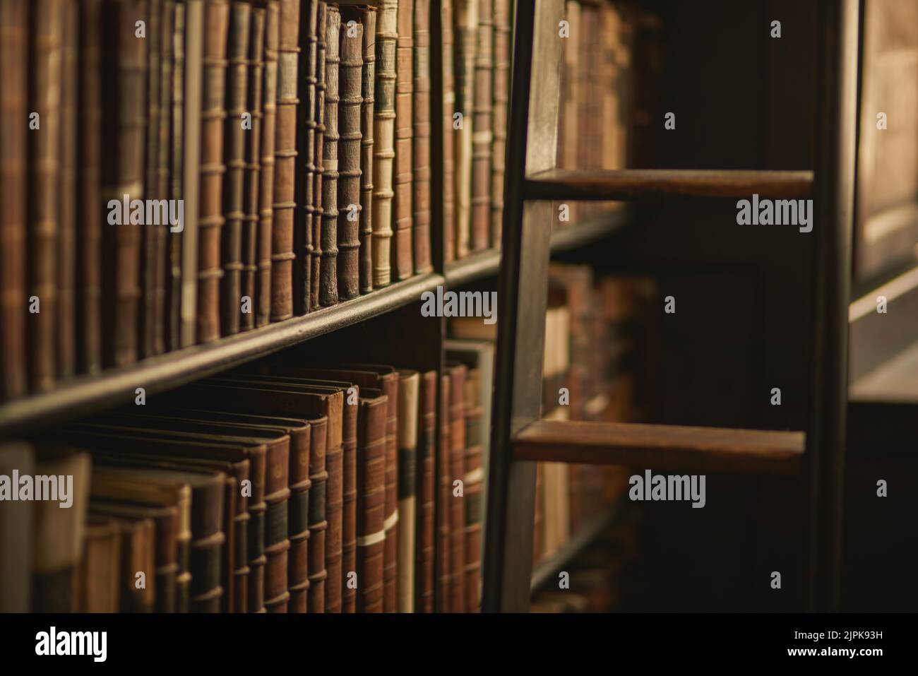 Zugang zu einem Reichtum an Wissen. Eine große, alte Bibliothek voller Bücher. Stockfoto