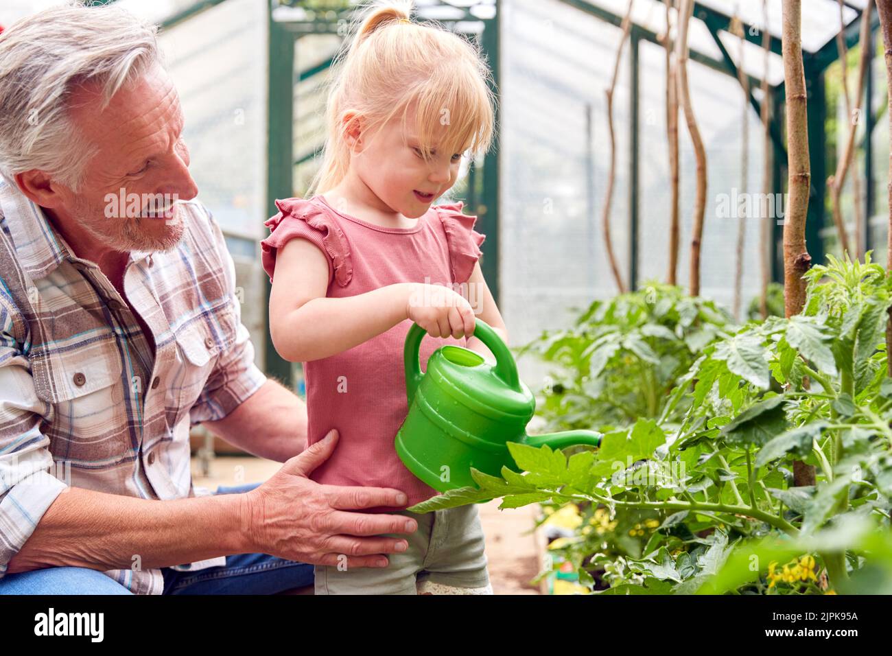 Großvater, im Garten, bewässern, Enkelkind, Großväter, Pflanzenpflege, Pflege von Pflanzen, Enkelkinder Stockfoto