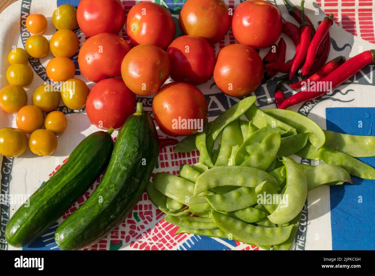 „Alicante“-Tomate, Tomate (Solanum lycopersicum) Stockfoto