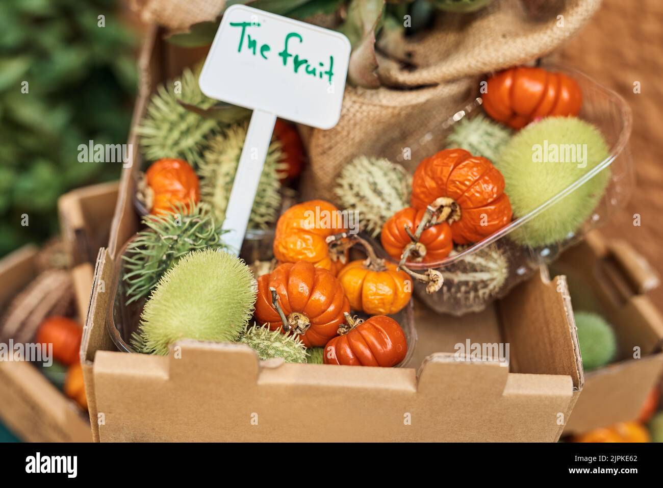 Für diejenigen, die etwas anderes zu essen suchen. Eine Pappschachtel mit Obst und Gemüse. Stockfoto
