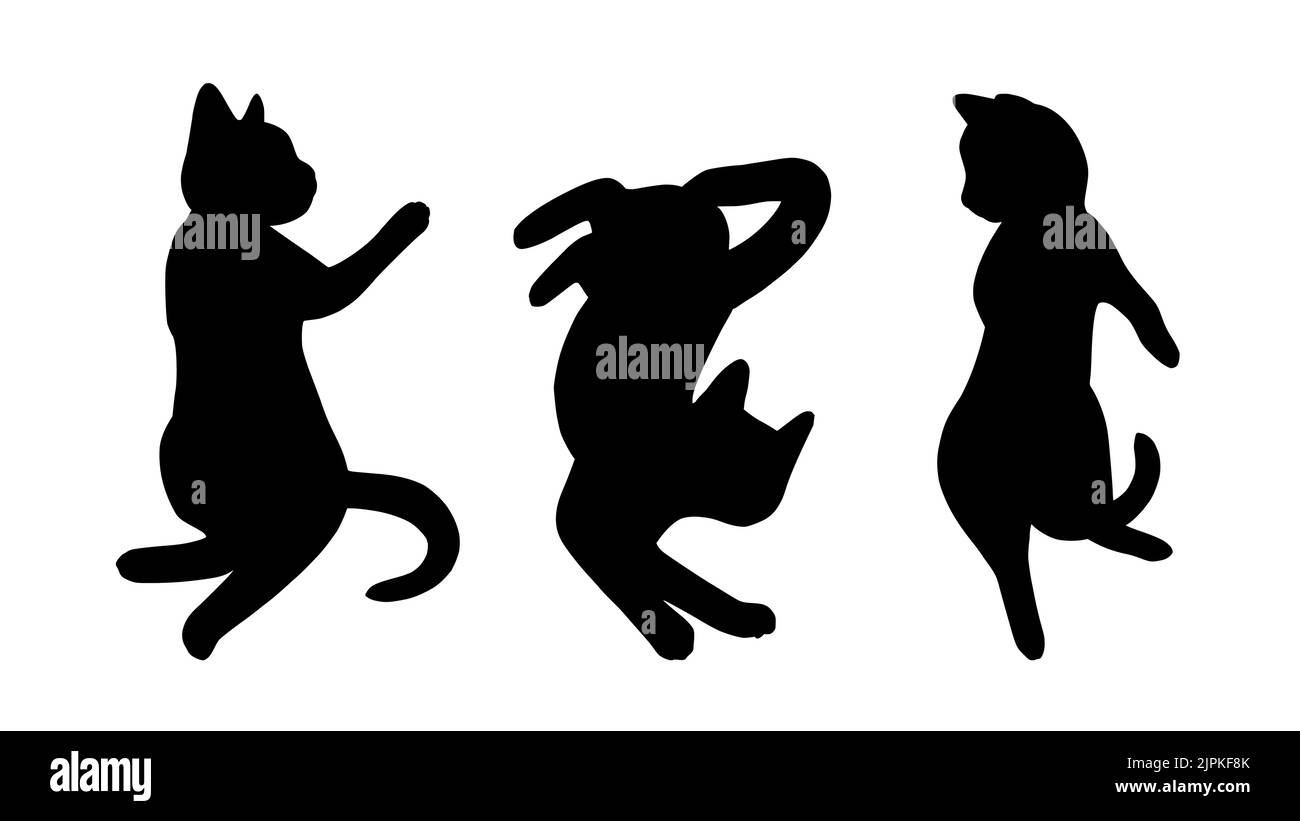 Katzenposen Doodle Set. Katzen Silhouetten in verschiedenen Posen. Niedliche Vektorgrafik Stock Vektor