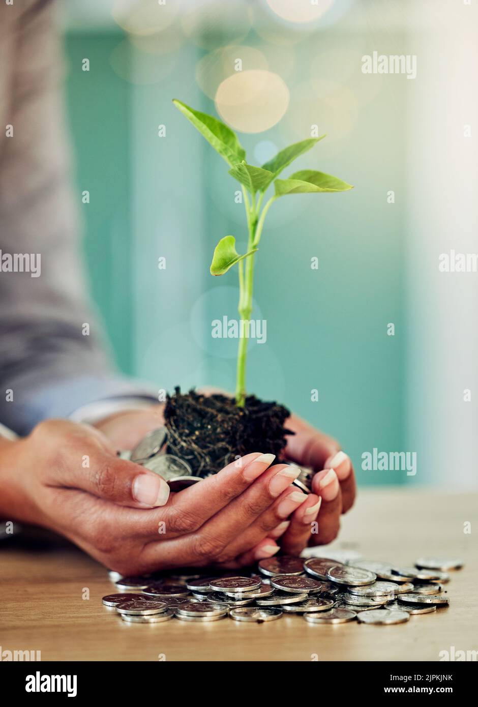 . Hände einer Frau und ihre Ersparnisse, das Geld wächst und die Planung für die zukünftige Nahaufnahme. Lady investiert Münzen für Finanzen, Erhaltung und Schutz Stockfoto