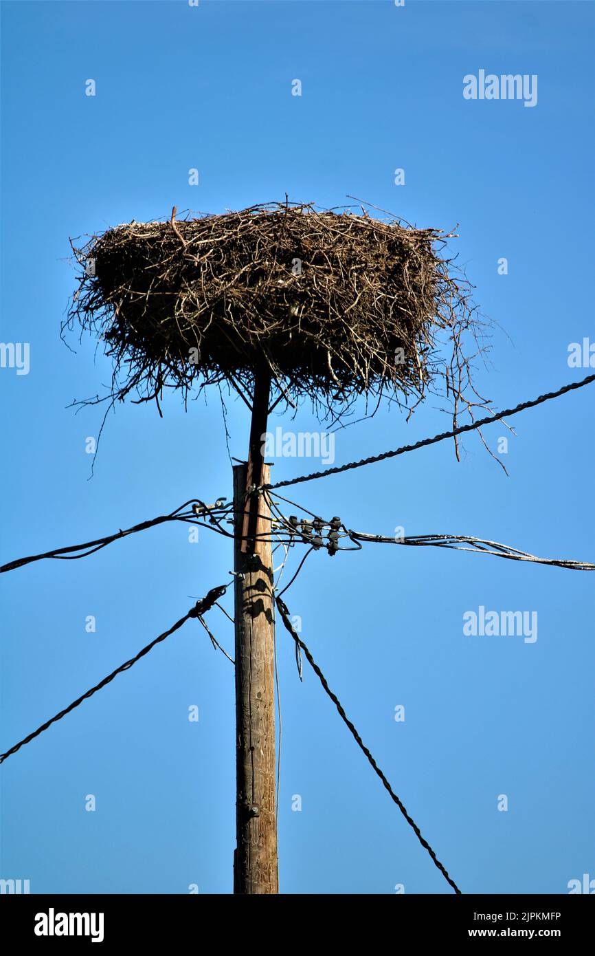 Die schöne Natur Lettlands. Stockfoto