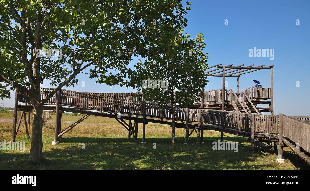 Aussichtsplattform für behinderte Menschen im Nationalpark Seewinkel, Burgenland,Neusiedler See,Österreich Stockfoto